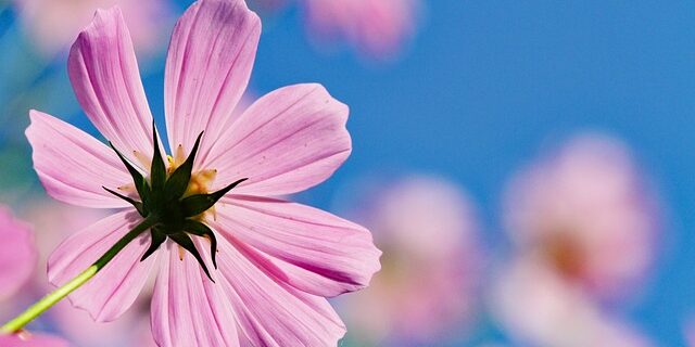 Rachel – blog pic 1